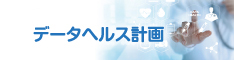 データヘルス計画